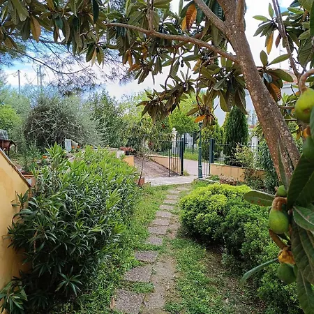 Appartement Seaview Oasis